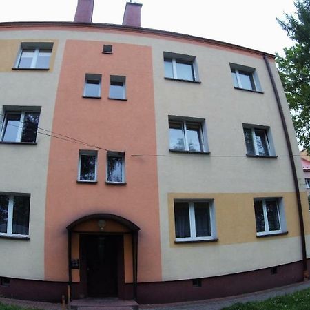 Studio Skarzyko Kamienna Apartman Skarżysko-Kamienna Kültér fotó